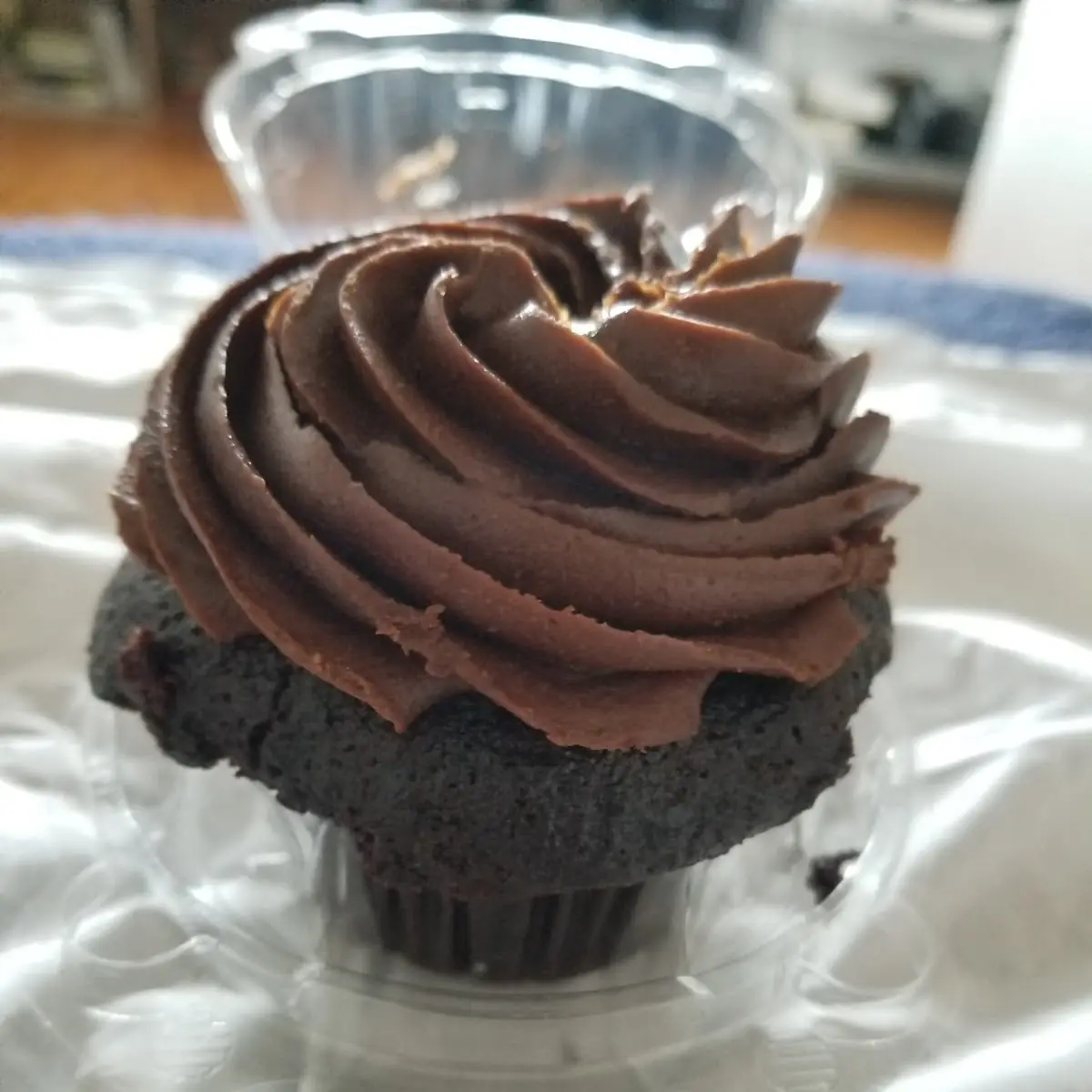 Chocolate Cupcake