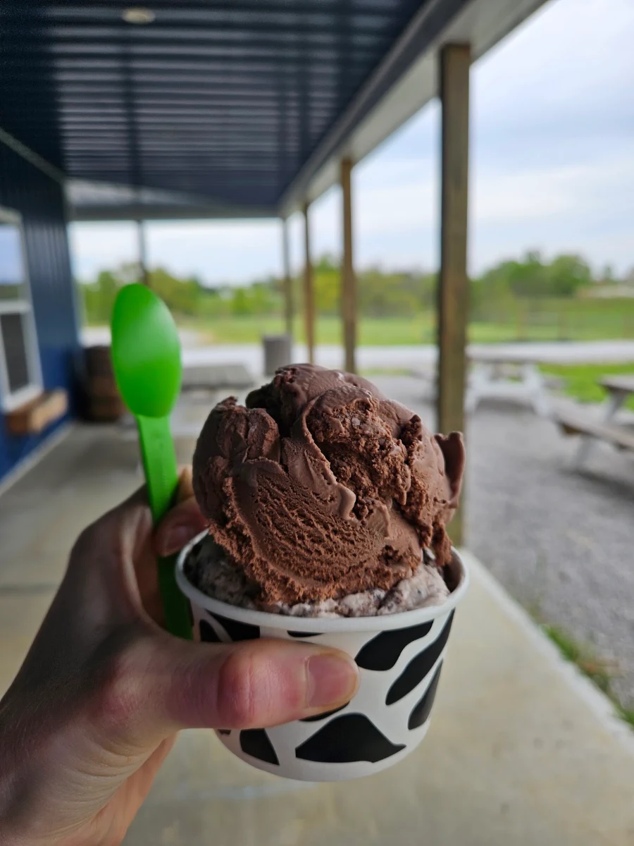 Chocolate Ice Cream