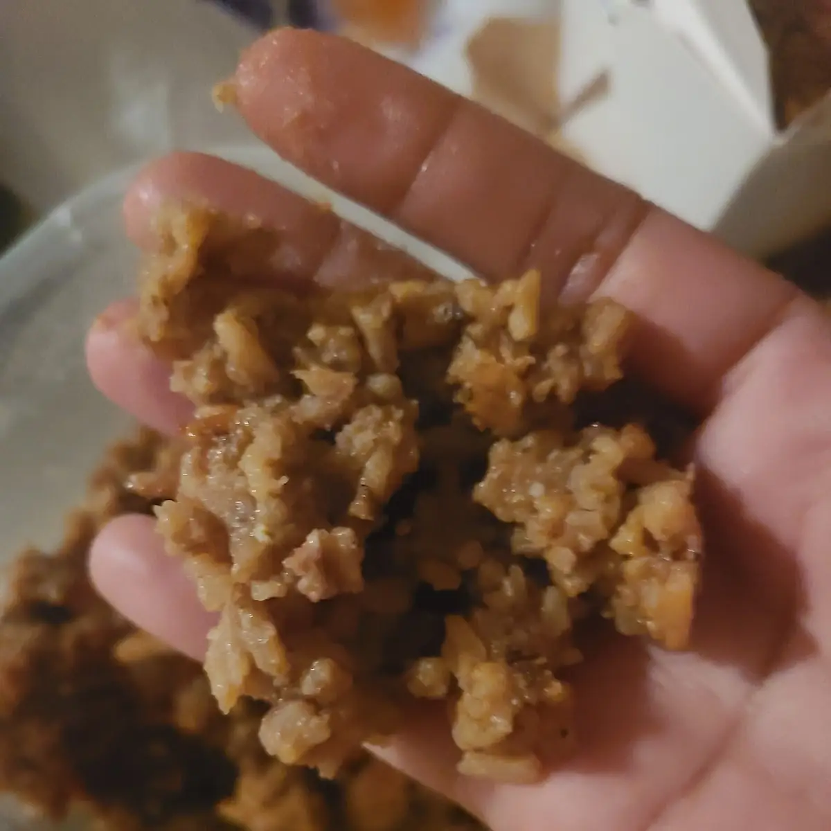 House Special Fried Rice That Was Trash