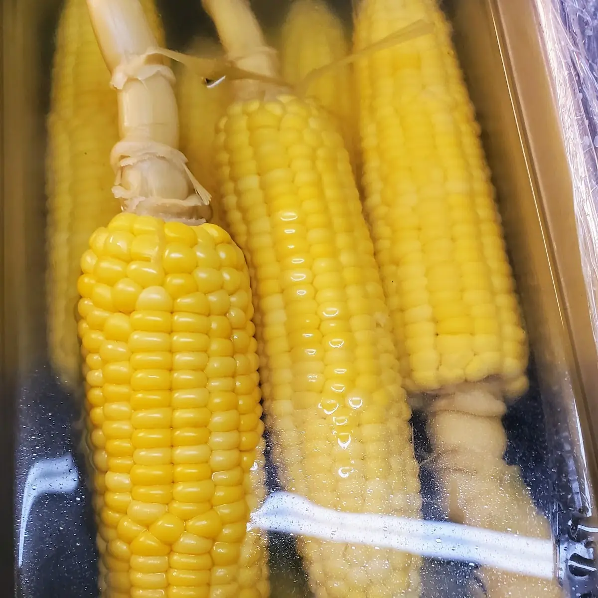 Elote Preparado