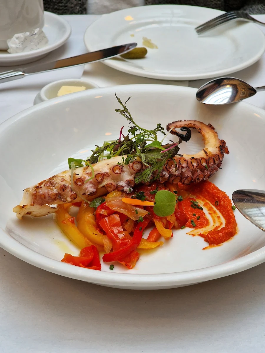 Grilled Octopus
