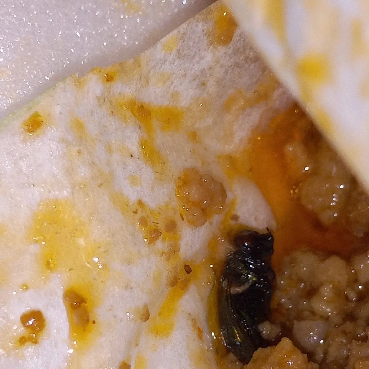 Ground Beef and Cheese Burrito w a Fly
