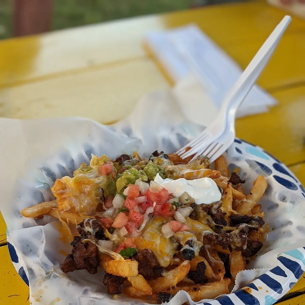 Carne Asada Fries