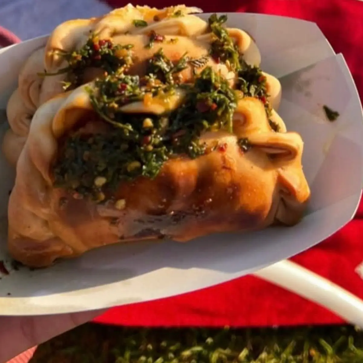 Chicken Empanada