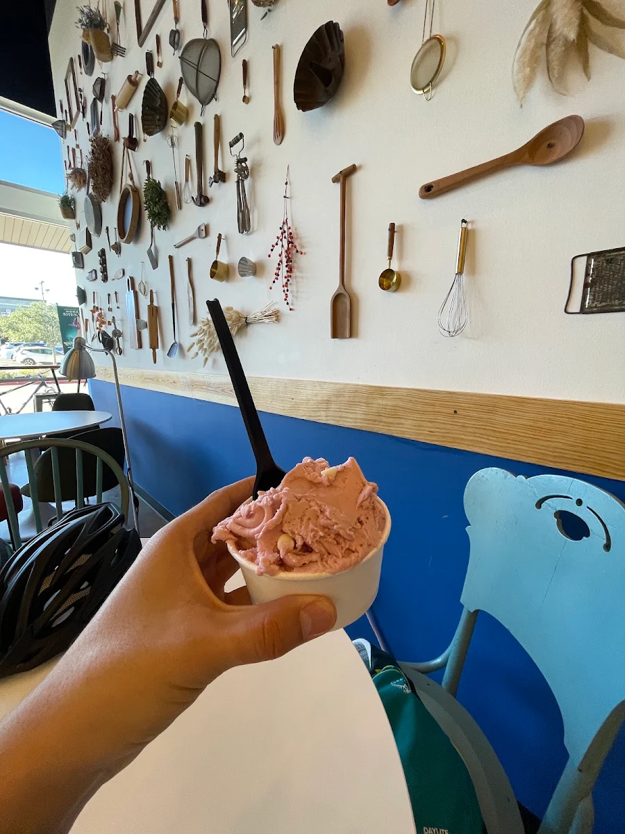 Chocolate Ice Cream