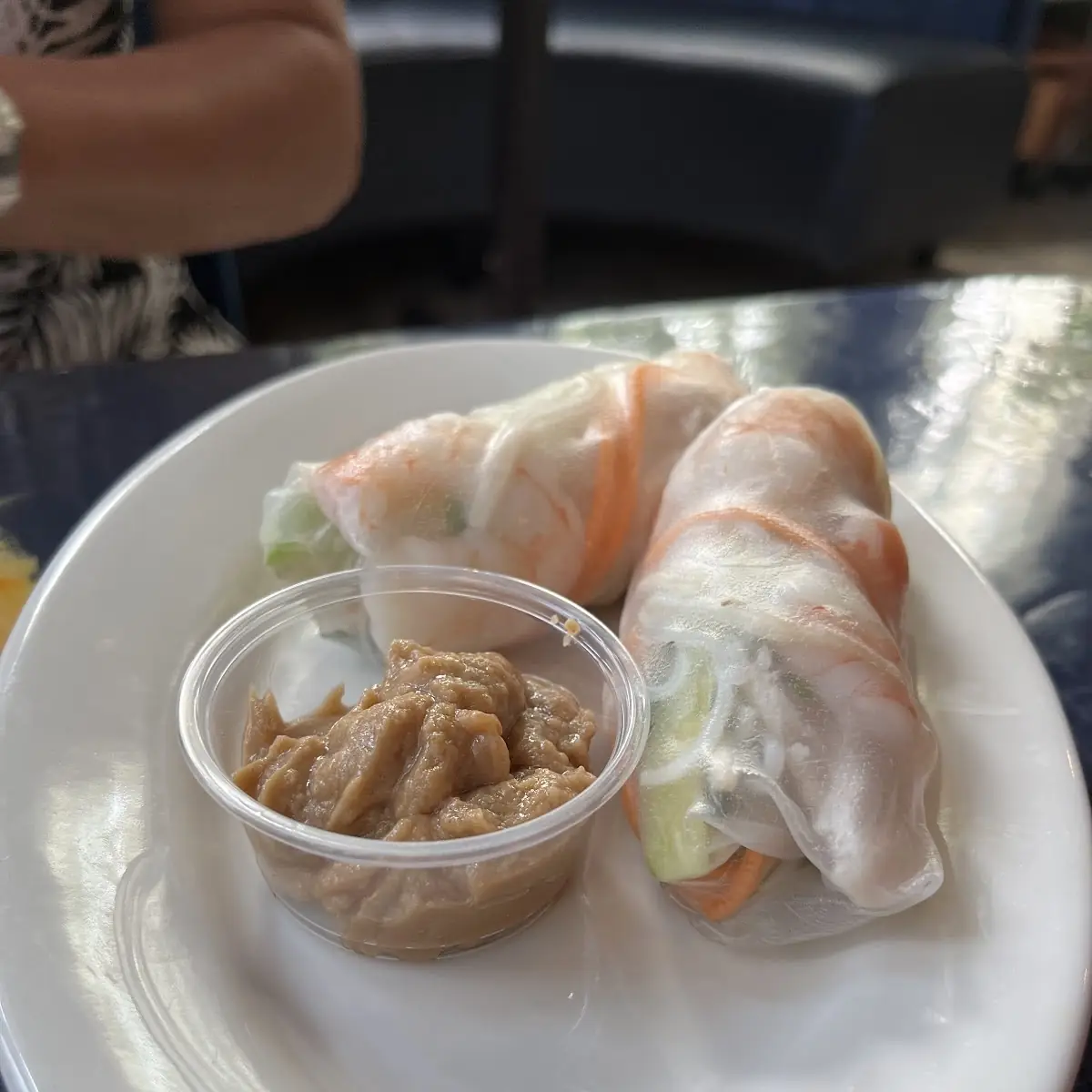 Fried Spring Rolls 2