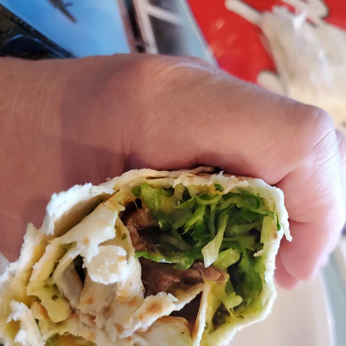 Carne Asada Burrito