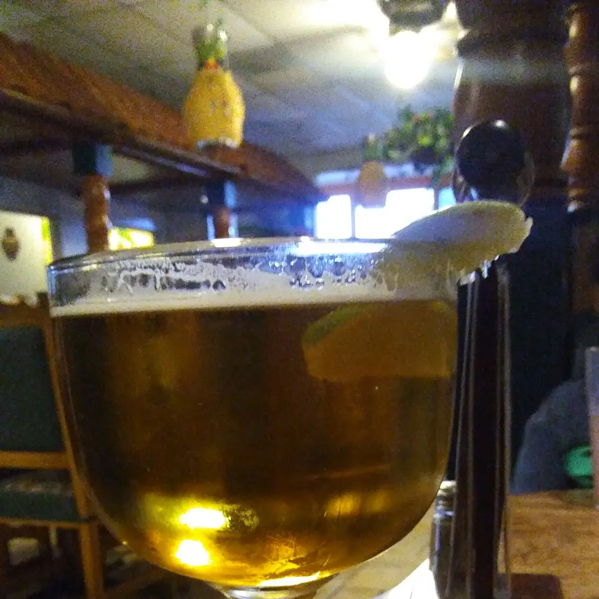 Modelo Especial 24oz