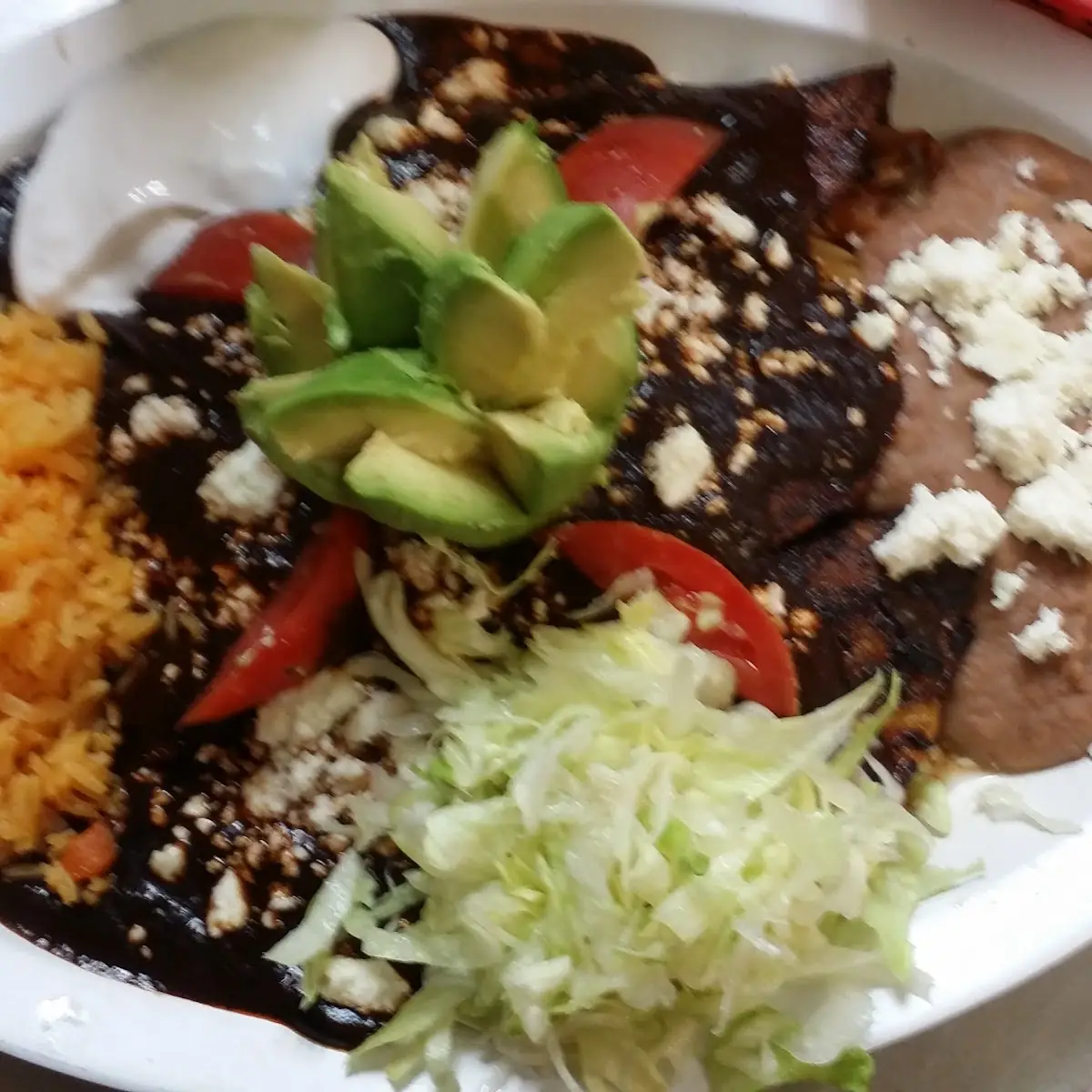 Mole Enchiladas