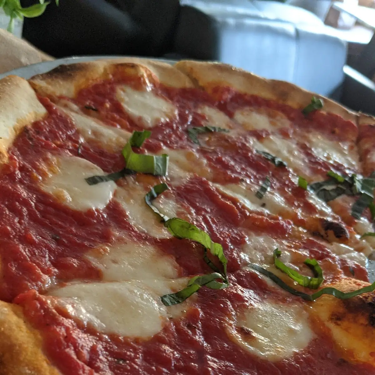 Margarita Pizza