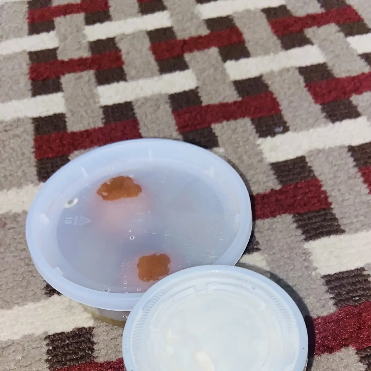 Kheer Rice Pudding