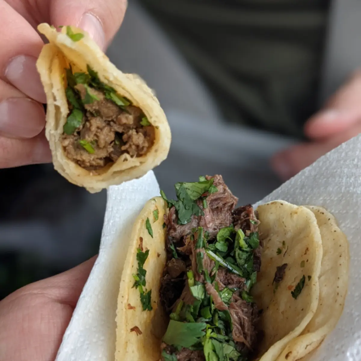 Barbacoa Taco