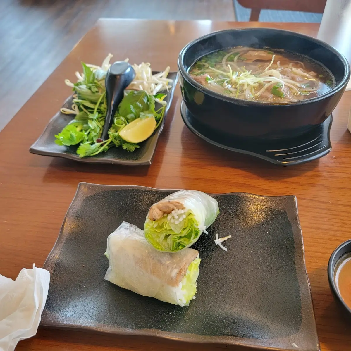 Steak Pho and Grilled Pork Spring Roll