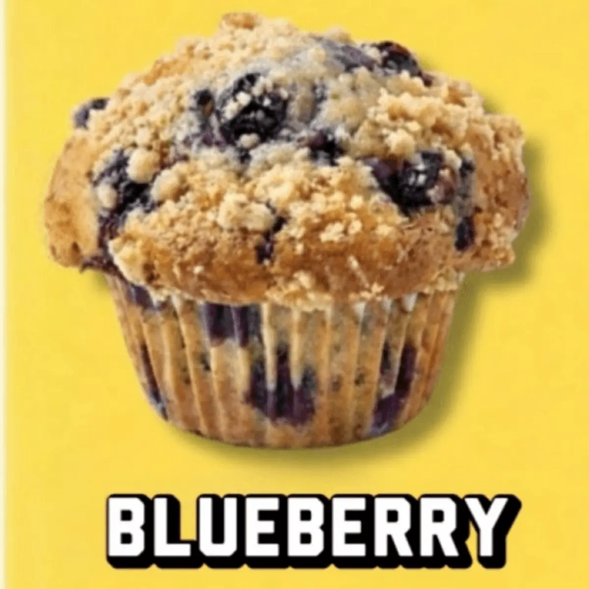 Blueberry Muffin