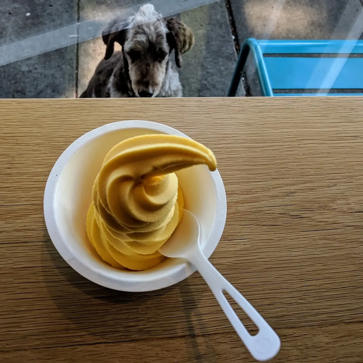 Mango Lassi Sorbet