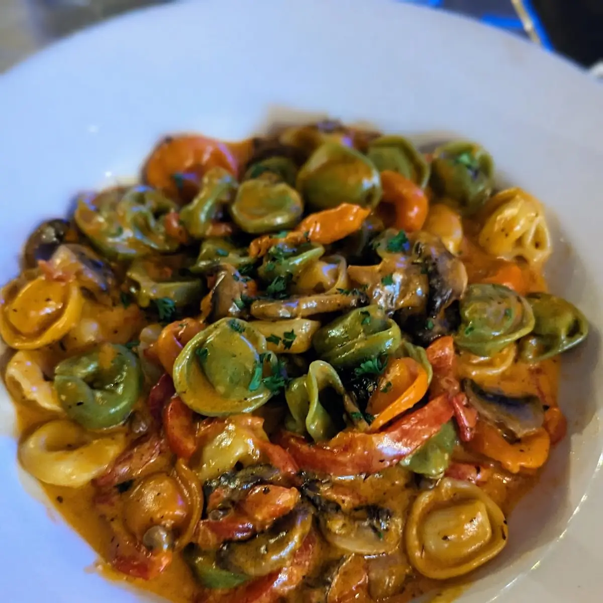 Cheese Tortellini