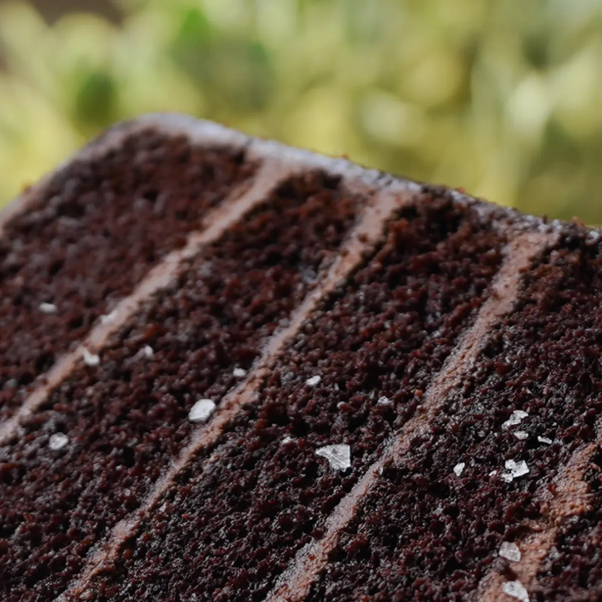 Devil's Food Cake
