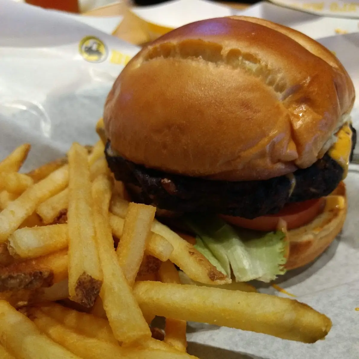 Black Bean Burger and Fries
