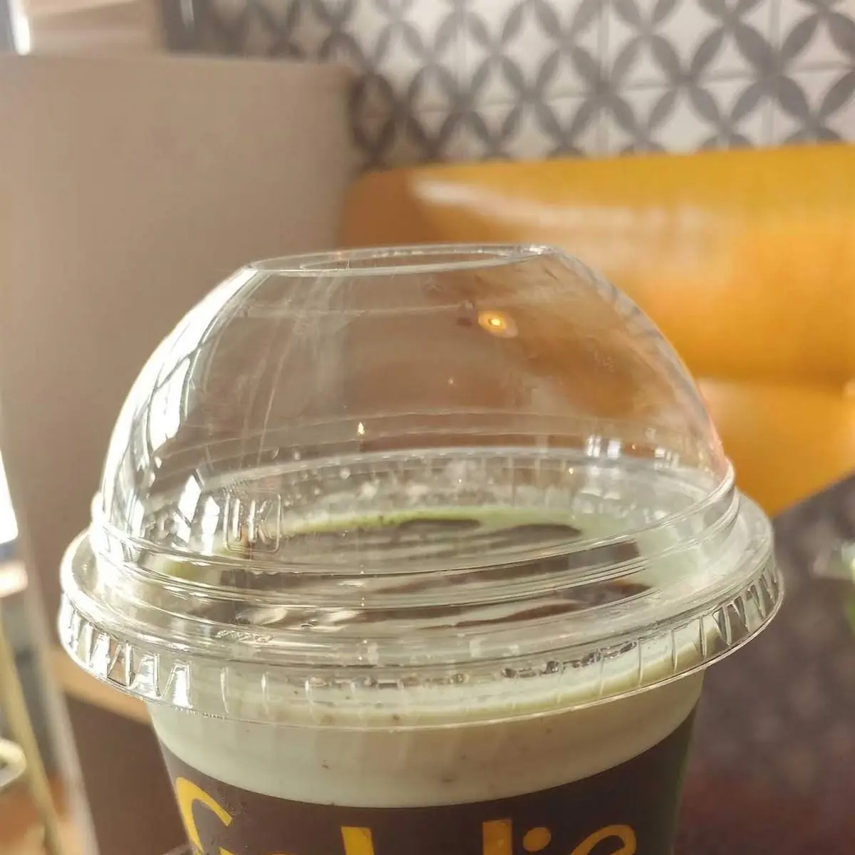 Mint Chocolate Chip