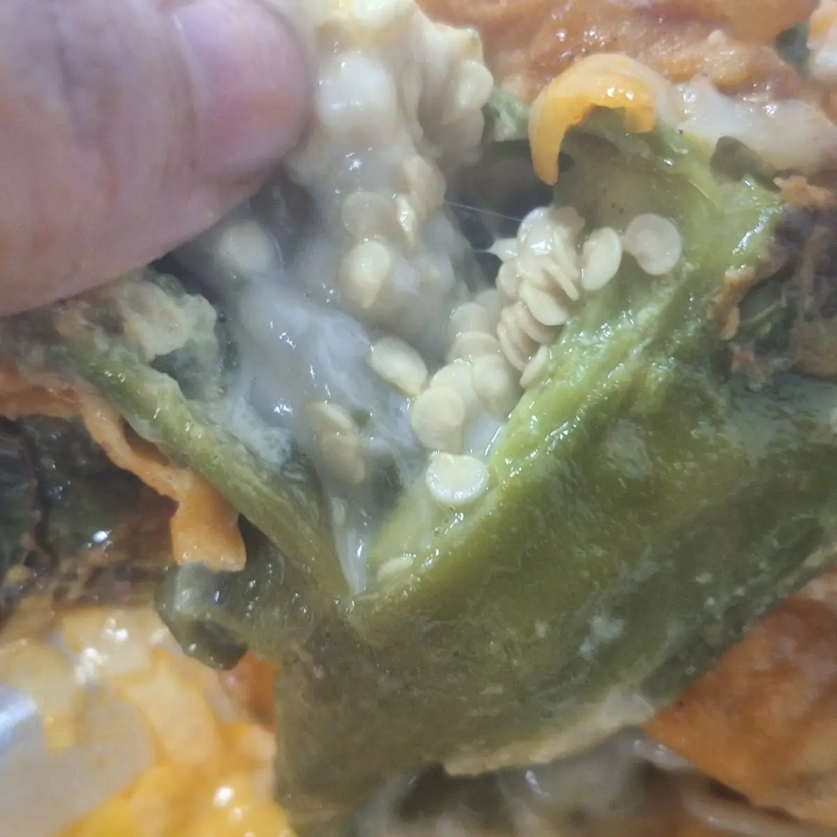 Chile Relleno Burrito