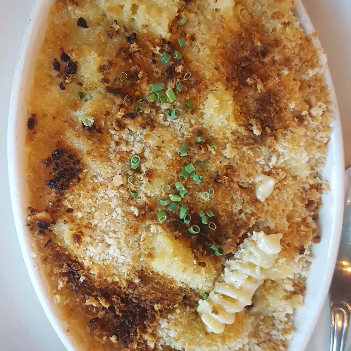 Lobster Mac & Cheese