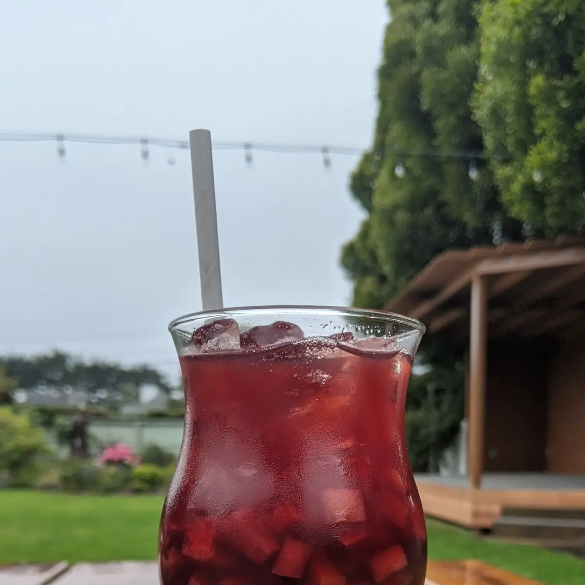 Red Sangria
