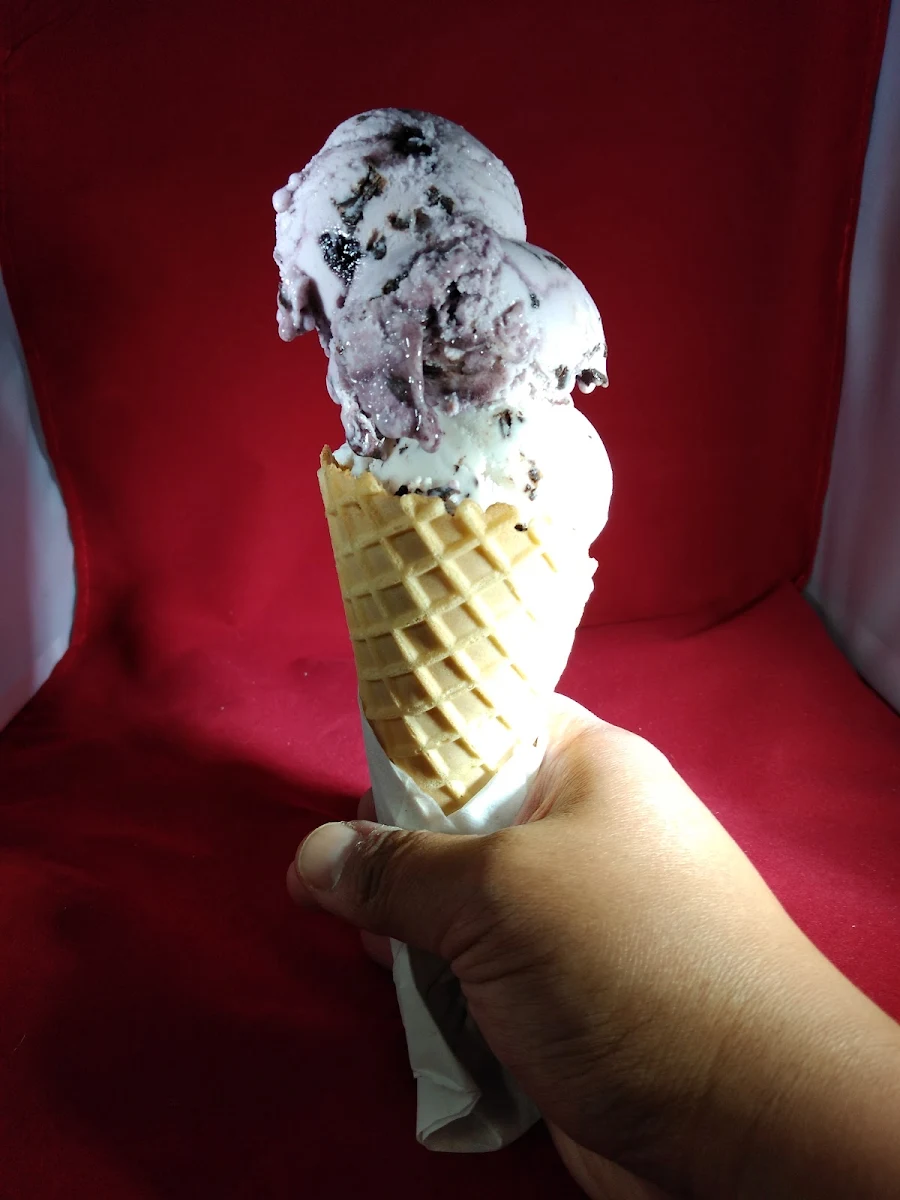 Vegan Blueberry and Chocolate Chip Cone