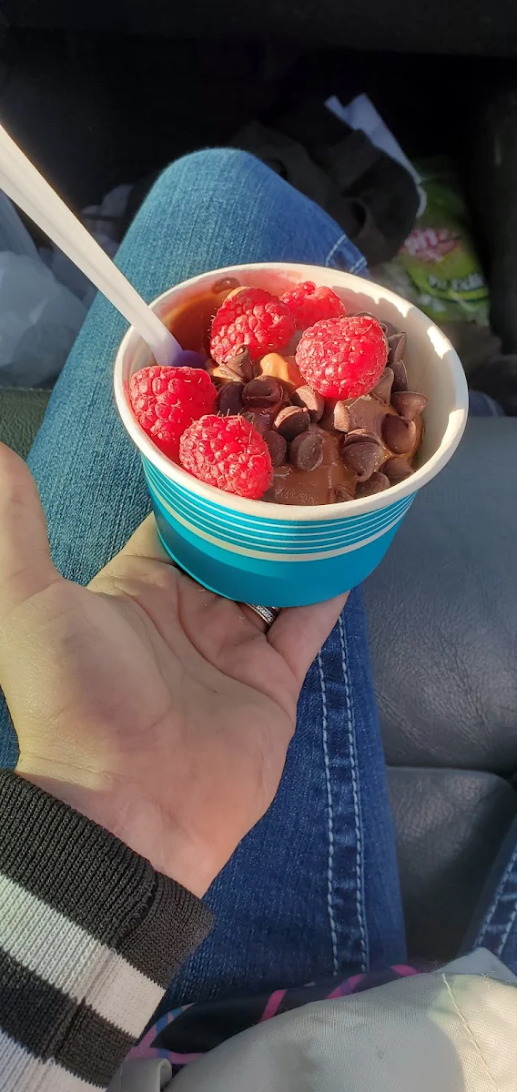 Chocolate Frozen Yogurt
