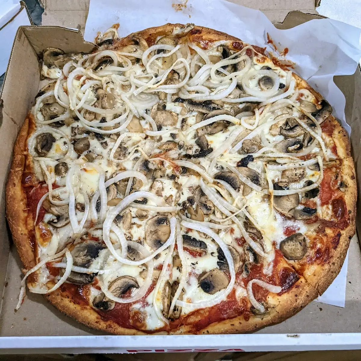 Onion and Mushroom Pizza