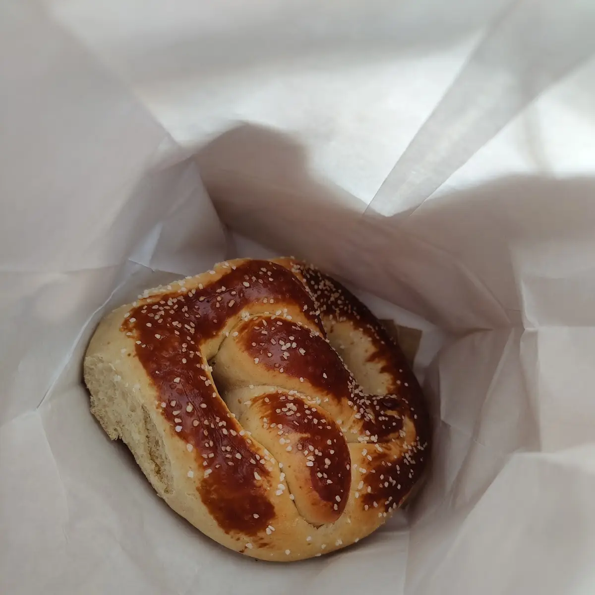 Sea Salt Pretzel
