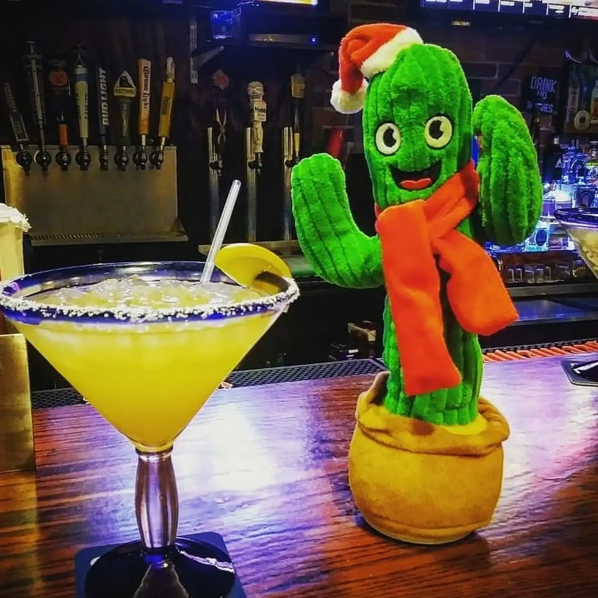 House Margarita