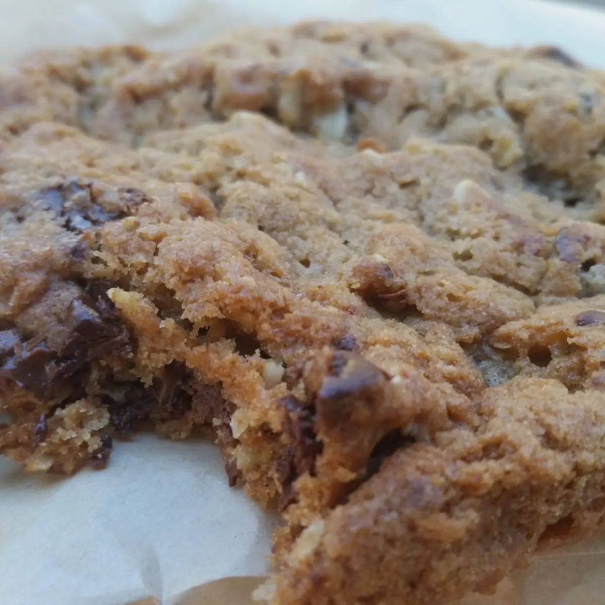 Chocolate Chip Cookie