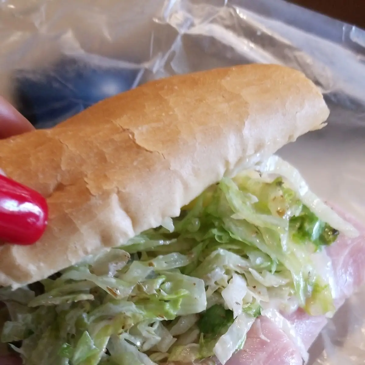 Swiss Cheese Sub