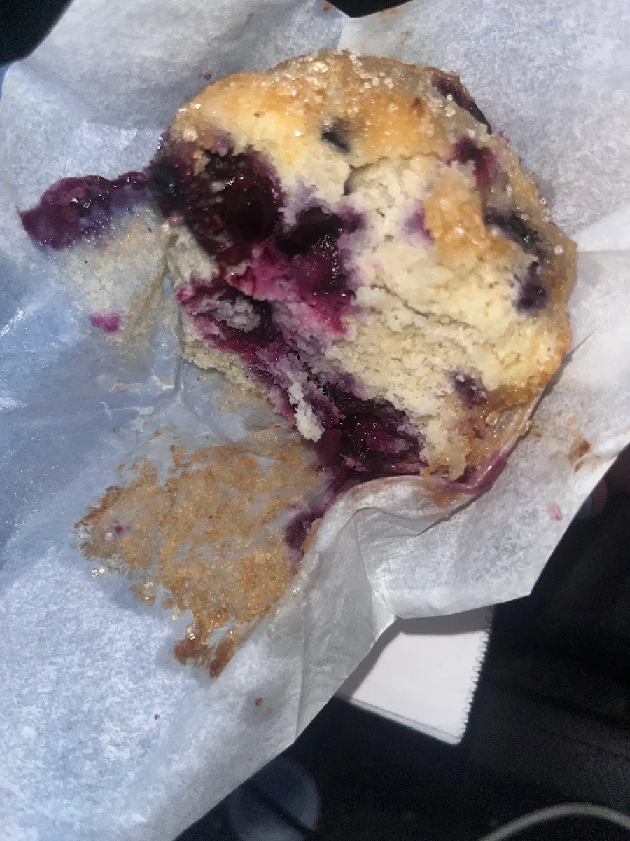 Blueberry Muffin