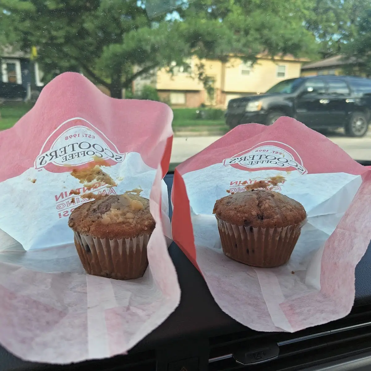 Blueberry Muffin