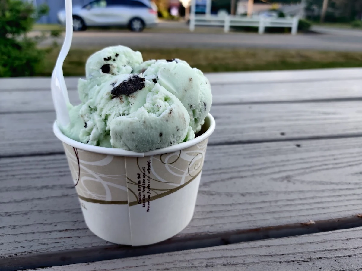 Mint Chip