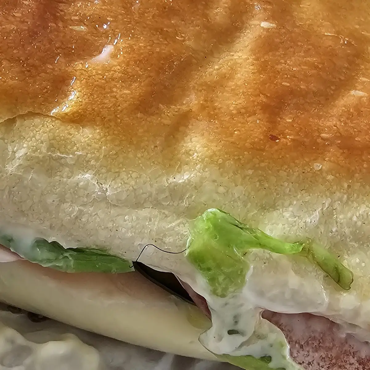 Sandwich with Hair