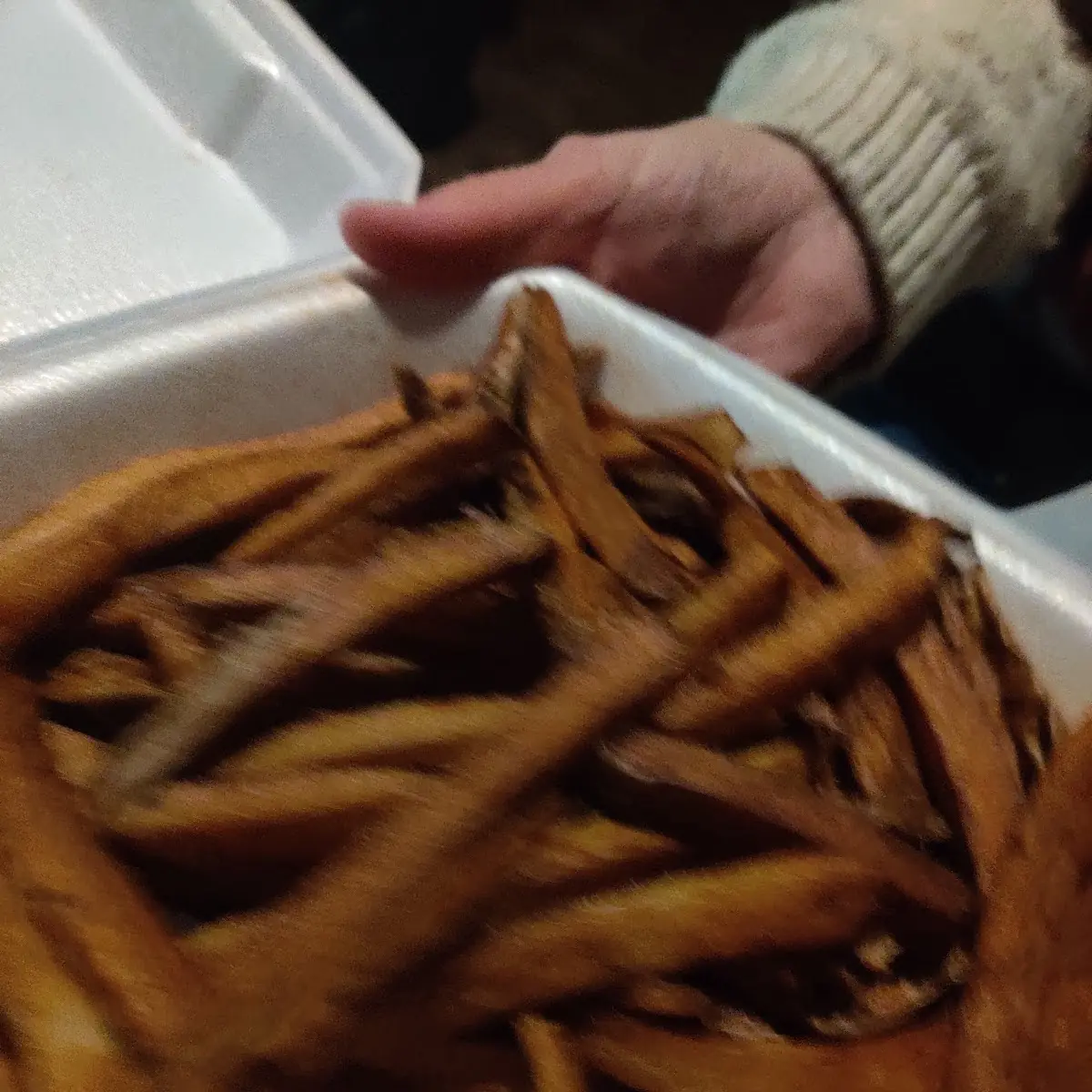 French Fries