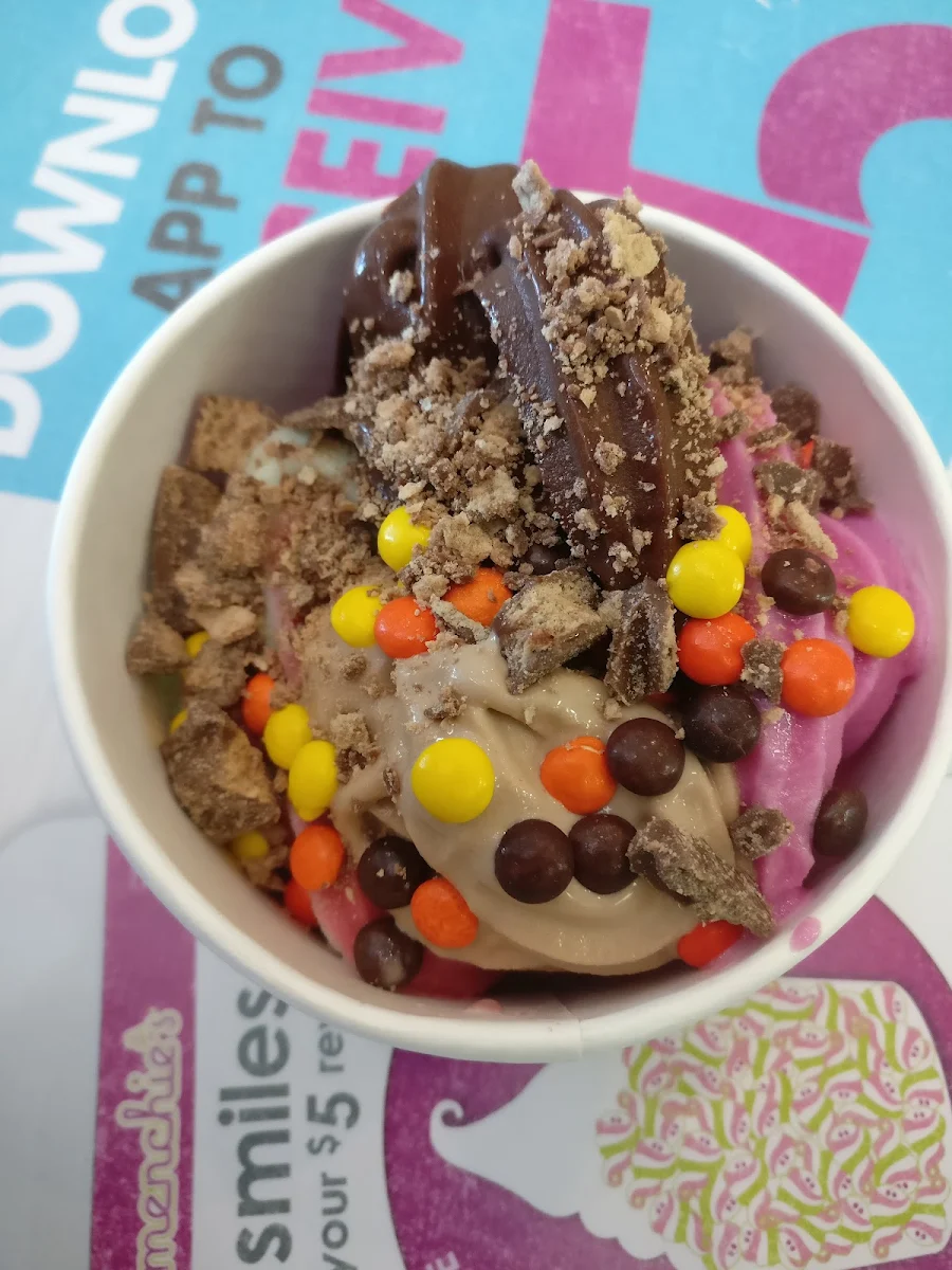 Chocolate Ice Cream