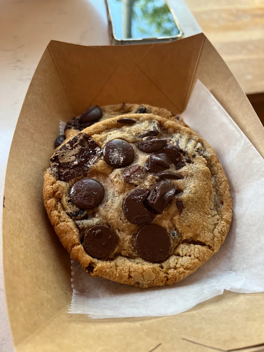 Chocolate Chip