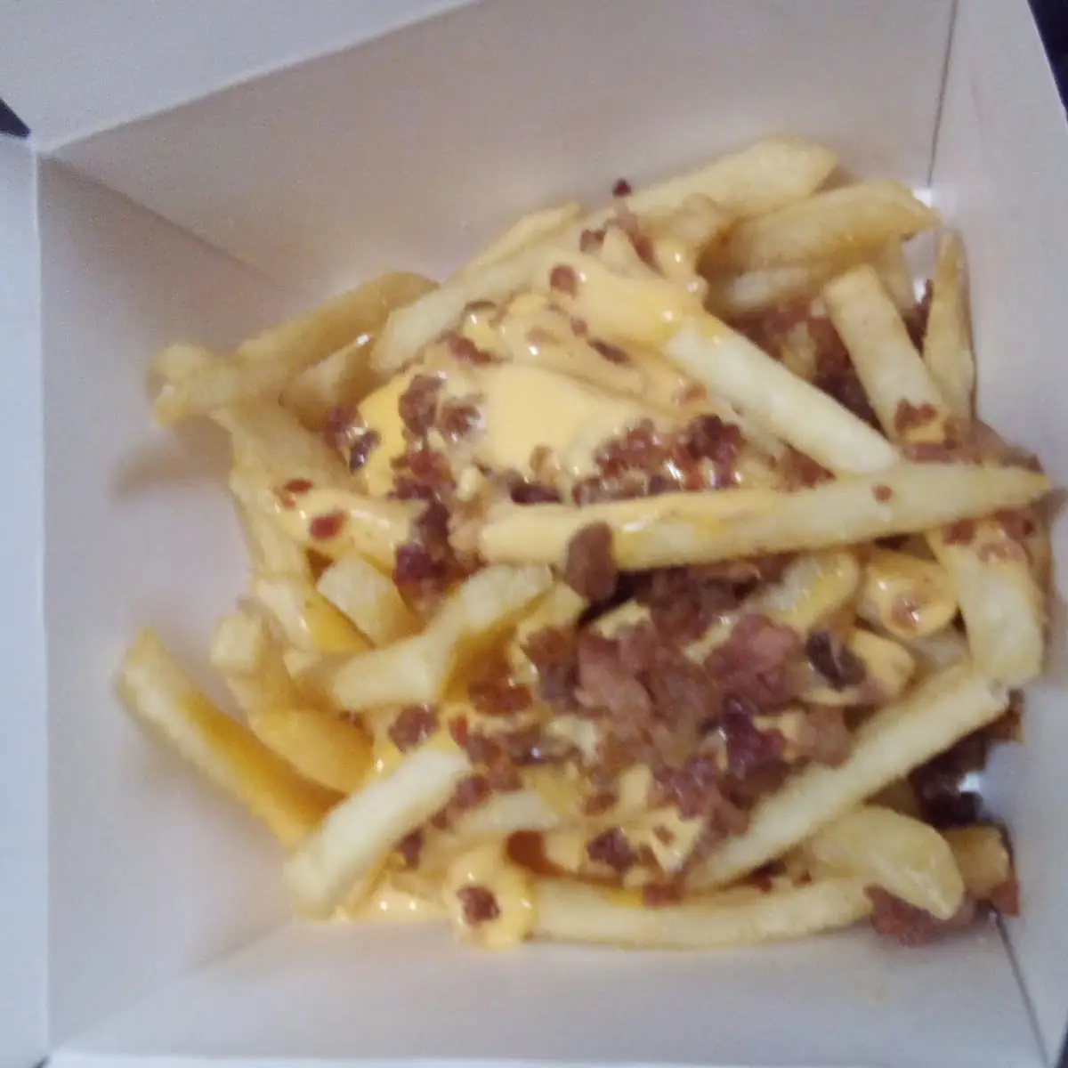 World Famous Fries