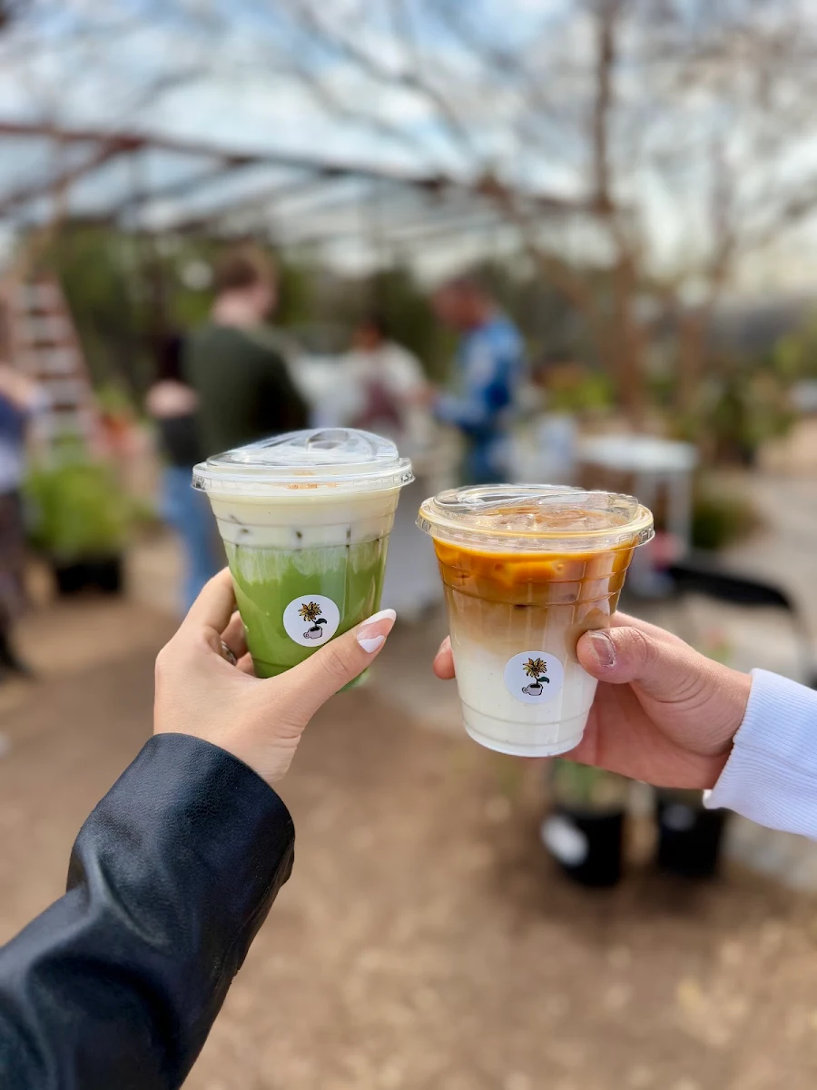 Iced Matcha Latte
