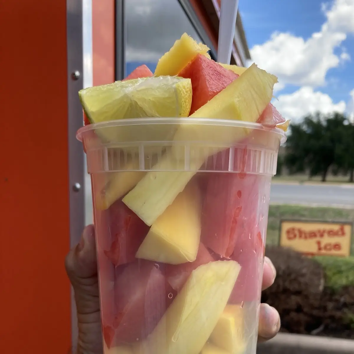 Fruit Cup
