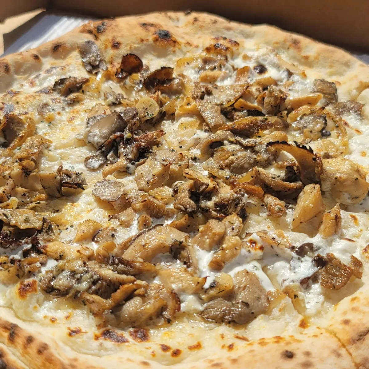 Funghi Pizza