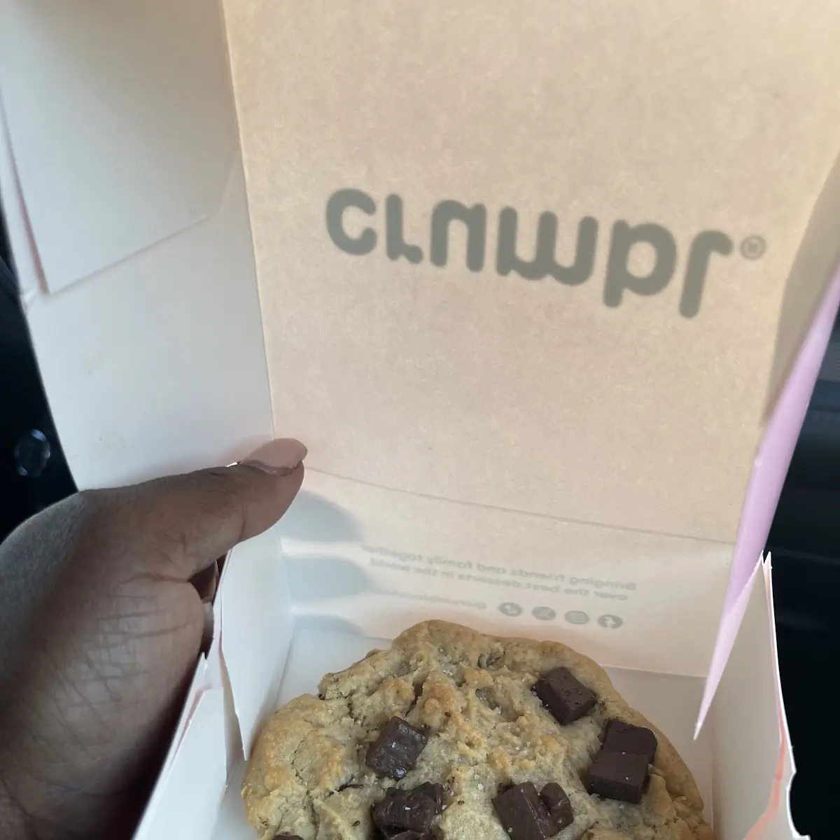 Chocolate Chip Cookie