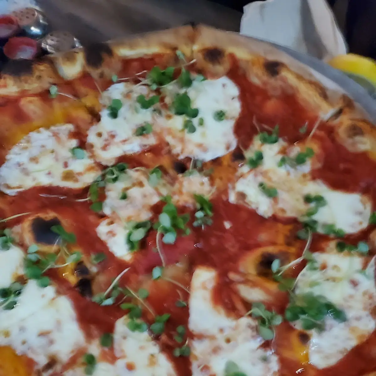 Margherita Pizza