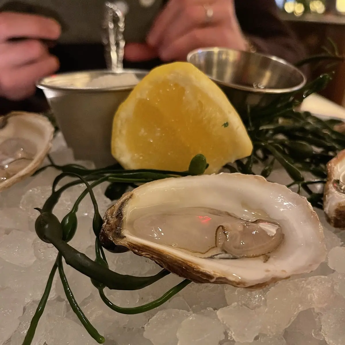 Oysters on the Half Shell