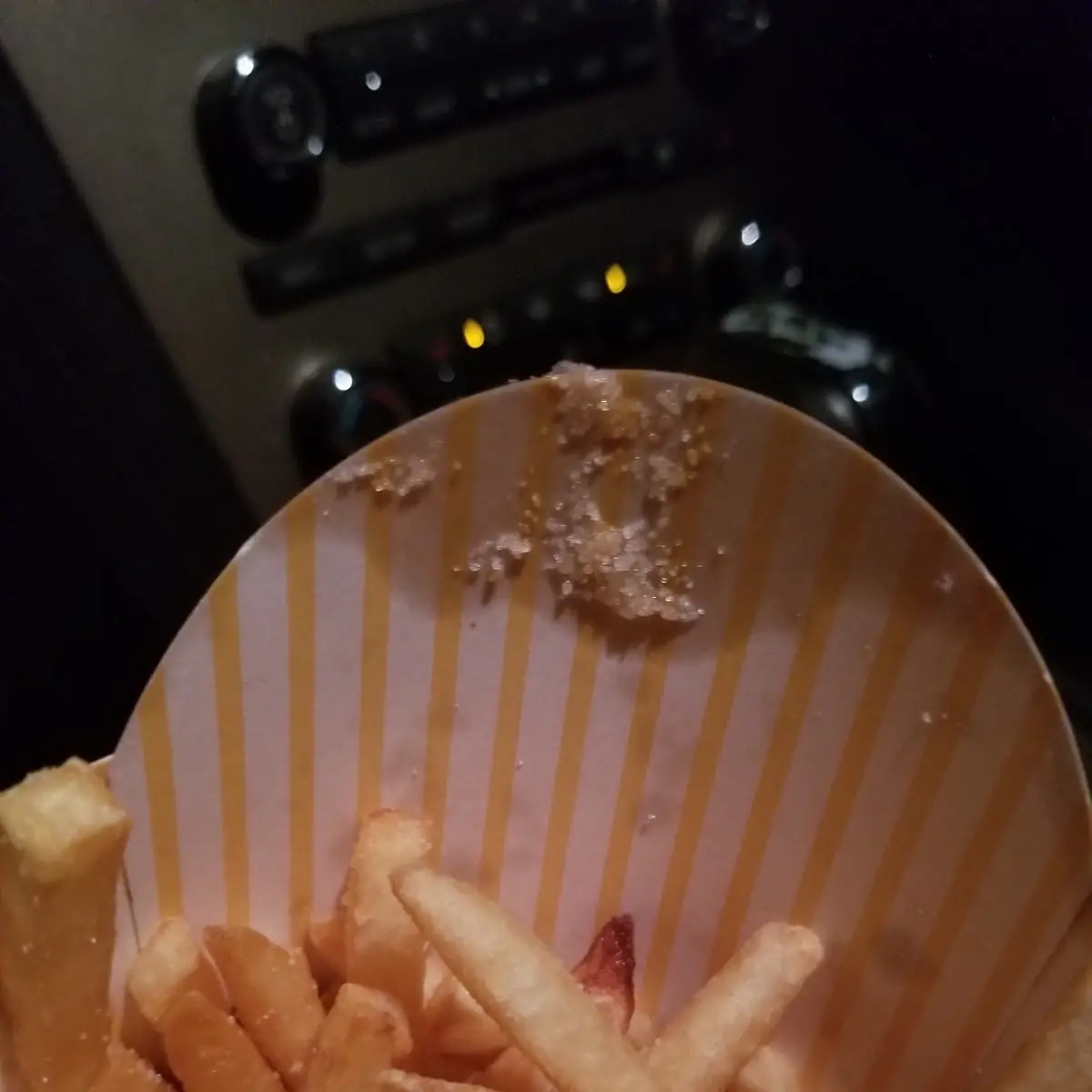 World Famous Fries