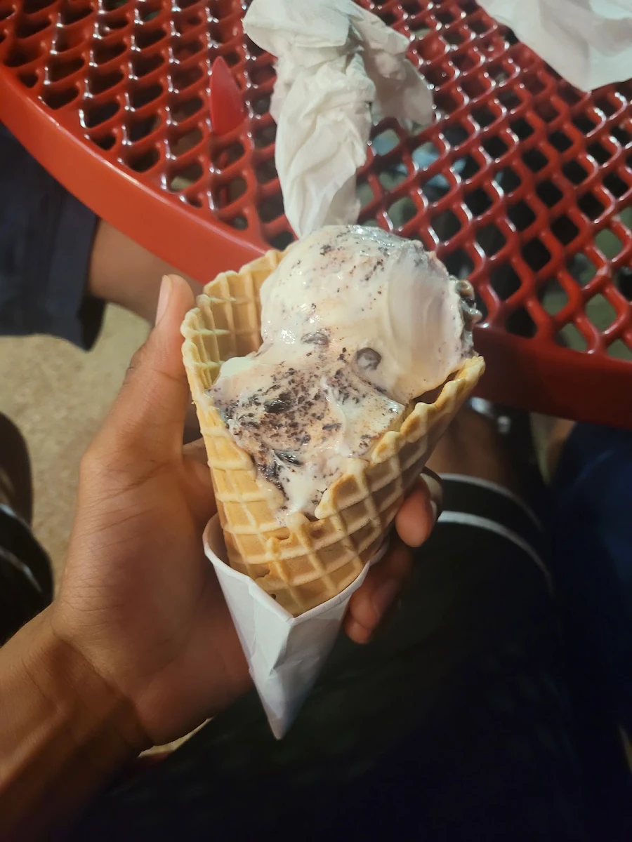 Moose Tracks Waffle Cone