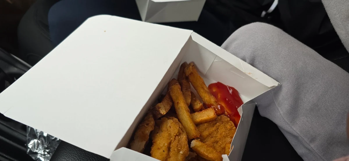 Chicken Tenders and Fries